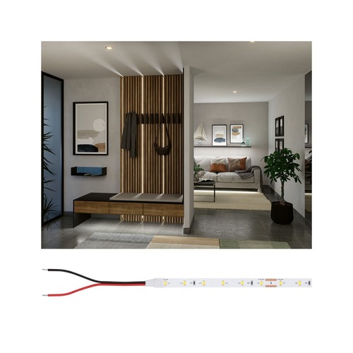 Pracovní osvětlení - P 76015 Pro LED Strip Silver P25 840 5m 20W 420lm/m 60LEDs/m 4000K - PAULMANN - foto 1