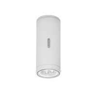 Přisazená - AR T41931LW00 Calumet 8 stropní 25° 3000K - ARTEMIDE