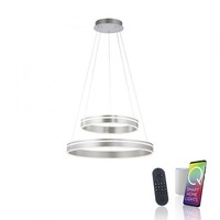 Kruhová - PN 8420-55 Q-VITO LED závěsné svítidlo v barvě oceli s nastavitelnou barvou světla a ovladačem Smart Home ZigBee 2700-5000K - PAUL NEUHAUS