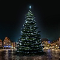 SADY na stromy - DLED TRS7031 LED světelná sada na stromy vysoké 21-23m, ledová bílá s padajícím sněhem