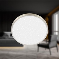 Kruhová - BRILO 3902012 BRILONER Competo stropní svítidlo pr.24 cm - 12W, 1300lm, LED, neutrální bílá, matný nikl 3902012