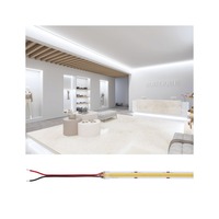 Hlavní osvětlení - P 76031 Pro LED Strip Silver P150 COB 840 5m 65W 1400lm/m 528LEDs/m 4000K - PAULMANN