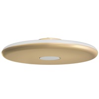 Kruhová - OS ZET60542 ZETA 2 PF stropní/nástěnné plastové svítidlo zlatá / bílá IP40 4000 K 38W LED - OSMONT