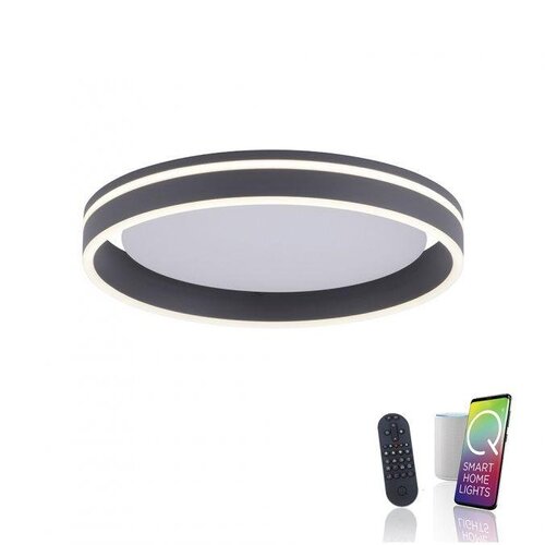 Kruhová - PN 8414-13 Q-VITO LED stropní svítidlo Smart-Home antracit s měnitelnou teplotou chromatičnosti s pamětí a ovladačem stmívání ZigBee 2700-5000K - PAUL NEUHAUS - foto 1