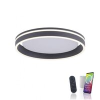 Kruhová - PN 8414-13 Q-VITO LED stropní svítidlo Smart-Home antracit s měnitelnou teplotou chromatičnosti s pamětí a ovladačem stmívání ZigBee 2700-5000K - PAUL NEUHAUS