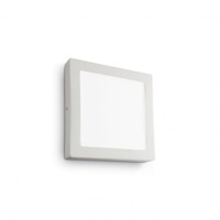 Dekorativní - ILUX 138640 LED nástěnné a stropní svítidlo Ideal Lux Universal AP1 138640 - IDEALLUX
