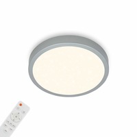 Kruhová - BRILO 3701-014 CCT LED přisazené svítidlo pr. 28 cm, 18 W, 2000 lm, stříbrná - BRILO