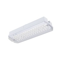 Nouzová - LA 1010505 P-LIGHT Přisazené nástěnné a stropní svítidlo, obdélníkové, 6000K, 5. 2 W, bílé / transparentní - BIG WHITE (SLV)