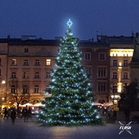 SADY na stromy - DLED TFS301 LED světelná sada na stromy vysoké 9-11m, ledová bílá s Flash