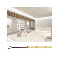 Hlavní osvětlení - P 76029 Pro LED Strip Silver P150 COB 827 5m 68W 1270lm/m 528LEDs/m 2700K - PAULMANN