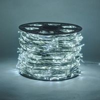 Venkovní řetězy - DLED SFNX0110 DecoLED LED světelný řetěz, 100m, ledově bílá s FLASH efektem, 1000 diod, bílý kabel SFNX0110