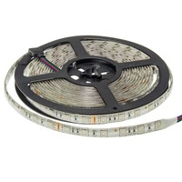 5050 - LED pás 5050 12V vodotěsné Professional Edition