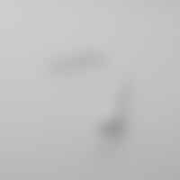 Příslušenství pro LED pásky - FAN STRIP220V-10-NEST Příslušenství LED pásek 220 V 20 cm - FANEUROPE