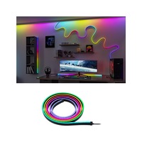 Dekorační - P 79556 EntertainLED LED hadice Black Neon 3m 5W 84 LEDs/m RGB+ - PAULMANN