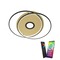 Downlight - PN 8381-18 Q-AMIRA LED stropní svítidlo v černé mosazi s nastavitelnou barvou světla a dálkovým ovládáním Smart Home ZigBee 2700-5000K - PAUL NEUHAUS