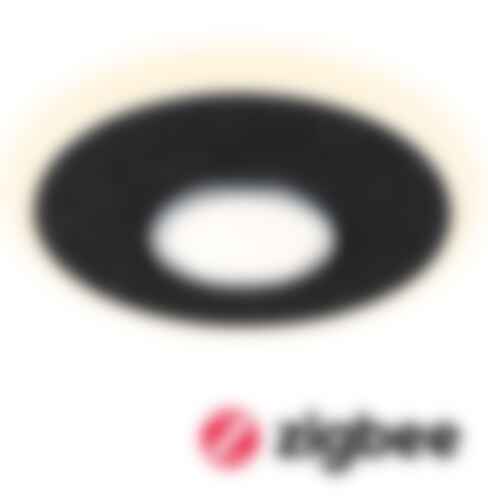 Kruhová - P 79996 LED stropní svítidlo Smart Home Zigbee 3.0 Tulga měnitelná bílá / 19 / 1x9W antracit stmívatelné - PAULMANN - foto 1