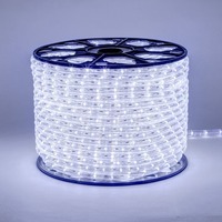 Světelné kabely - DLED LEDRL100 DecoLED LED hadice - 100m, ledově bílá, 3000 LED