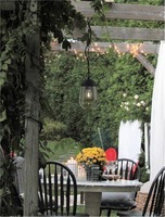 Závěsná - NV 9060197 Venkovní závěsné svítidlo OMIKA tmavě šedý hliník a čiré sklo E27 1x12W 110-240V bez žárovky IP54 - NOVA LUCE