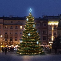 SADY na stromy - DLED TRS2025A LED světelná sada na stromy vysoké 6-8m, teplá bílá s ledově bílými dekory EFD15S2