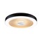 Kruhová - P 71180 LED stropní svítidlo Volea IP44 3000K / 230V 4 / 18,5W stmívatelné černá/zlatá - PAULMANN