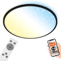 Kruhová - BRILO 3064-015 Hvězdné nebe CCT LED stropní svítidlo, pr. 33,3 cm, 24 W, 2500 lm, černá - BRILO