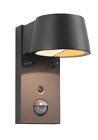 Nástěnná - P 94714 LED venkovní nástěnné svítidlo Smart Home Zigbee Capea pohybové čidlo neláká hmyz IP44 96x153mm CCT 6W 230V 98° antracit - PAULMANN
