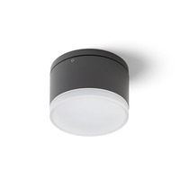 Vystaveno - RED R13627X VÝPRODEJ VZORKU - ORIN R stropní antracitová satinovaný akryl 230V LED 10W IP54 3000K - RED - DESIGN RENDL