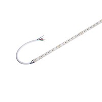 Pracovní osvětlení - LA 1004727 GRAZIA PRO FLEXSTRIP 24 V 12 mm RGBW - BIG WHITE (SLV)