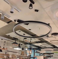 Kruhová - P 98172KOMPLET Závěsné svítidlo Linion - světelná lišta 4x 13W 90° 24V 3000K 750lm černá + kryty + napaječ - PAULMANN