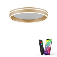 Kruhová - PN 8414-60 Paul Neuhaus, Q-VITO, LED stropní svítidlo, pr. 40 cm, matná mosaz ZigBee 2700-5000K - PAUL NEUHAUS