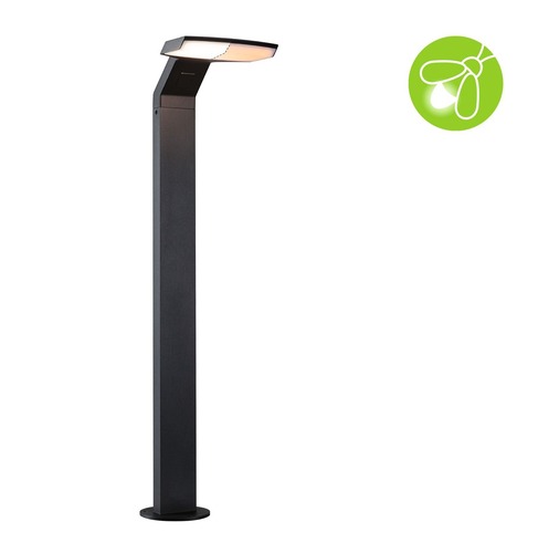 Sloupková - P 94829 LED stojací svítidlo Zenera neláká hmyz IP44 670mm 2200 - 3000K 10W 230V antracit kov - PAULMANN - foto 1
