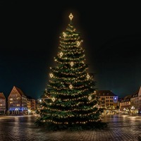 SADY na stromy - DLED TRS7024W LED světelná sada na stromy vysoké 21-23m, teplá bílá s dekory EFD10WS2