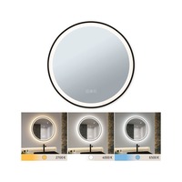 K zrcadlu - P 71088 LED zrcadlo s osvětlením Mirra IP44 CCT 230V 11,5W stmívatelné černá/zrcadlo - PAULMANN