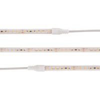 Hlavní osvětlení - SLC S14062 LED pásek do sauny 9.6W/m 1170lm/m 2700K Ra80 24V IP67 5m - TLG