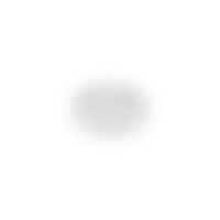 Do svítidla - LA 1008532 HIGHBAY C PIR-Sensor - BIG WHITE (SLV)