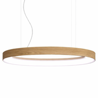 Kruhová - LUM LOOP E 1600 Závěsné svítidlo LOOP E 1600 LED TW 1800-4000K + RGB + INDIRECT TW 1600x800x150mm 106W + 53W Casambi dekor DW-1878MT dub- LUMILOGY