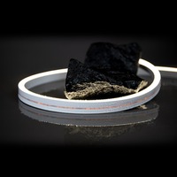 Dekorační - SLC SM17201 LED pásek Neon Flex 230V Side 1-50m 8W/m 266lm/m 3000K Ra80 stmívatelný IP65 1m - TLG