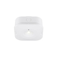 Nouzová - LA 1010508 P-LIGHT Povrchové stropní svítidlo, čtvercové, 6000K, 1. 2 W, bílé - BIG WHITE (SLV)