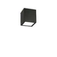 Přisazená - ILUX 251578 TECHO PL1 SMALL NERO - IDEALLUX