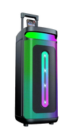 Mobilní a počítačové příslušenství - Přenosný reproduktor Bluetooth Party 2x8inch