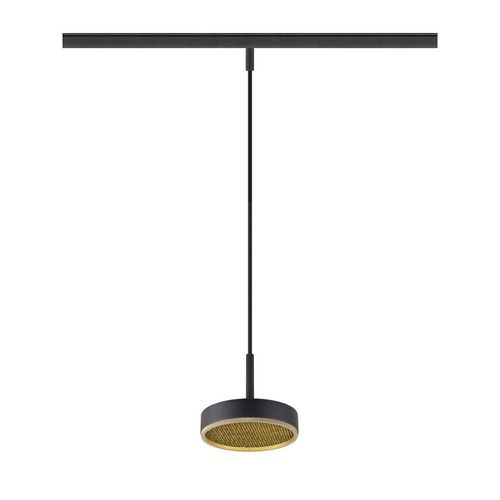 Lištové Magnetic SLV - LA 1009018 GRIP! FLAT 48V závěsné svítidlo, DALI, délka závěsu 200 cm, 2700/3000 K, černé / zlaté - BIG WHITE (SLV) - foto 1