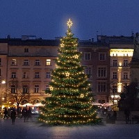 SADY na stromy - DLED TRS3025W LED světelná sada na stromy vysoké 9-11m, teplá bílá s dekory EFD12W