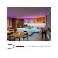 Dekorační - P 76011 Pro LED Strip Silver P25 5m 20W 300lm/m 60LEDs/m - PAULMANN