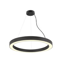 Kruhová - LA 1008595 MEDO® RING 90 závěsné svítidlo, délka závěsu 300 cm, 3000/4000K, 110°, DALI, černá barva. - BIG WHITE (SLV)