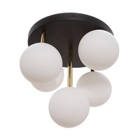 Dekorativní - ZUMA 003064-024508 Stropní svítidlo ALI 5645 - ZUMALINE