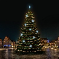 SADY na stromy - DLED TRS7023A LED světelná sada na stromy vysoké 21-23m, teplá bílá s ledově bílými dekory 8EFD08