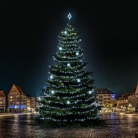 SADY na stromy - DLED TRS7022 LED světelná sada na stromy vysoké 21-23m, ledová bílá s dekory EFD05