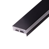 Nezařazeno - LED profil 2SP-C černý pro police