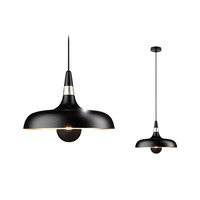 Kónická - P 78481 Závěsné svítidlo Juna E27 max. 20W černá mat/šampaň stmívatelné kov - PAULMANN