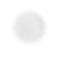 Kruhová - FAN LED-WISH-R40 Stropní svítidlo LED WISH bílá 50W 5500lm CCT+DIMM dálk. ovladač 40x9 cm - FANEUROPE